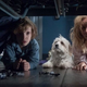 Image for article titled 9 Under-the-Radar Movies We Loved, and What Their Directors Are Doing Next
